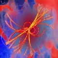LA PARTICELLA DI DIO- FISICA QUANTISTICA